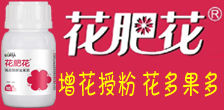ʻ