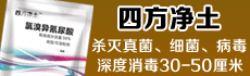 ̨嶹