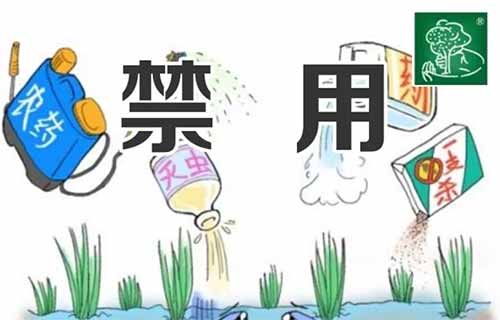 ѣۺɷֵũҩһӱ2