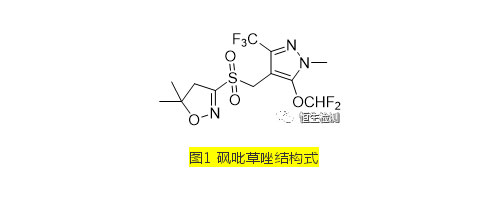 רѵڣгǱ޴