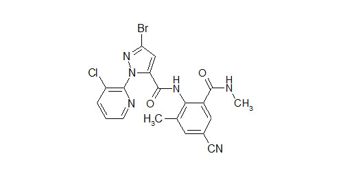 ר2ڵڵ˫ɱ