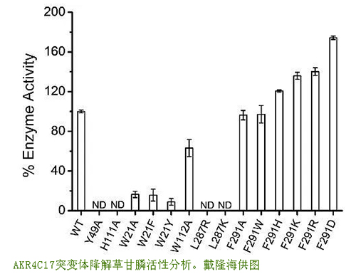 中国科学家揭示植物降解草甘膦的分子机制！