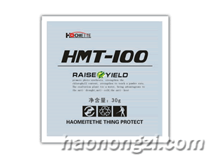 HMT-100޶ࣩ