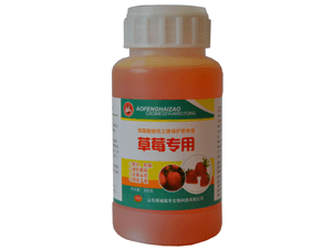 ·ảݮרã棩
