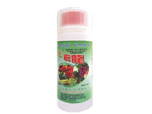 3100ml
