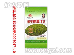 13-ƷȨCNACNA20050170.4