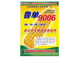 ũ³9006