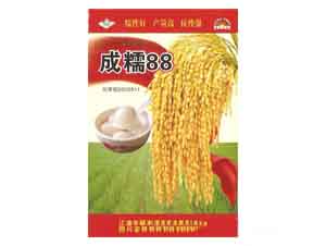 ˶Ŵ88