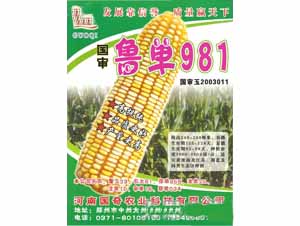 ³981