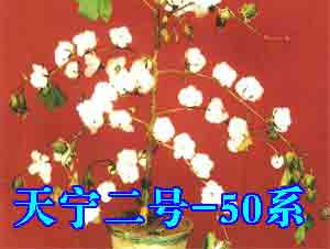 -50ϵ