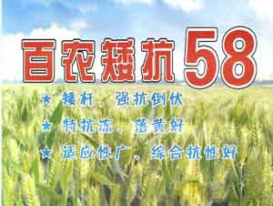 ۱ũ58