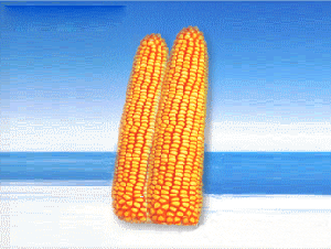 ĺ