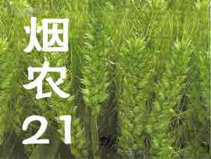 ɽũ21