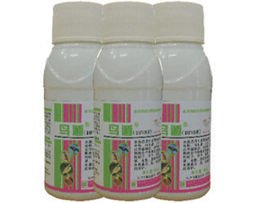 ݣ10%SE