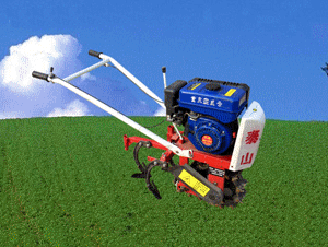 ����-���ݻ�