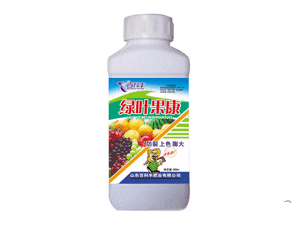 ٿƷ-Ҷ500ml