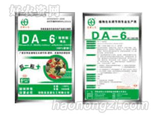 Դ-DA-6