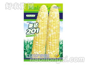 ˹201