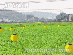 ճƴ㷺Ӧ