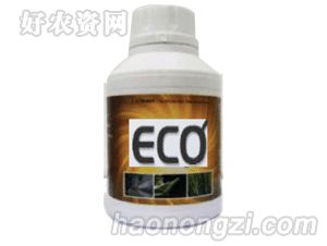 ECO