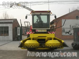 -DL-300ո