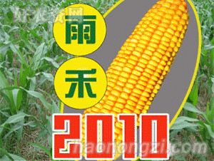 ũ-2010