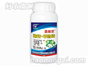 ϲ��ũ-42%����������