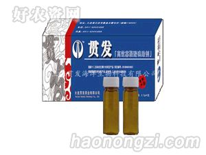 �ᷢ-�Ѿ��������