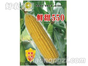 华为种业-鲜甜550（水果玉米）