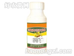 ũ廯-׶