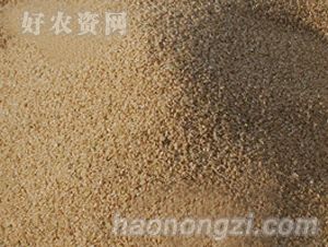 河南新农种业-糙米