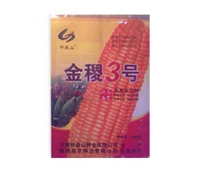 金稷3号-玉米杂交种