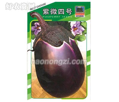 茄果类种子-紫微四号-鑫源种业