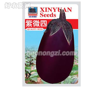 茄果类种子-紫微四-鑫源种业