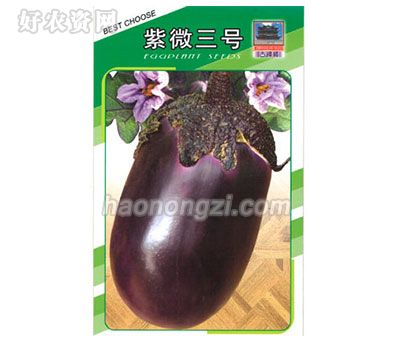 茄果类种子-紫微三号-鑫源种业