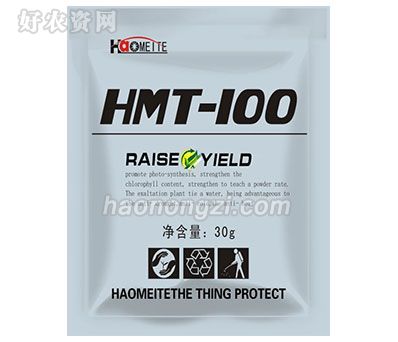 HMT-100-Ϻ