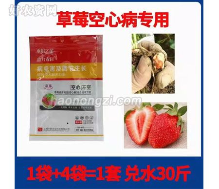 禾盼农业-草莓空心病专用